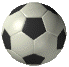 Soccer-01.gif (14024 bytes)